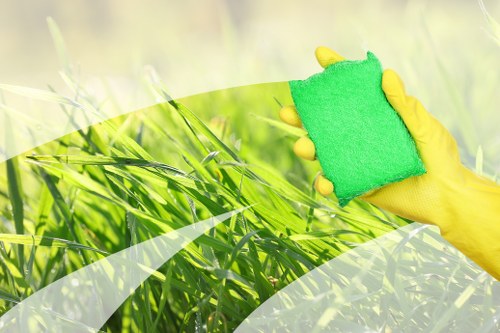 Professional Docklands carpet cleaners deep cleaning a carpet