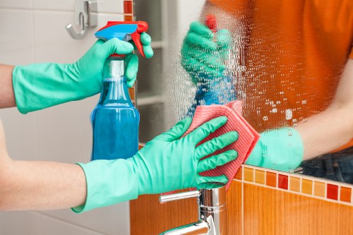 Professional pet stain odour removal in Docklands carpet cleaning