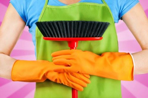 Home rug spot cleaning with mild solution and cloth