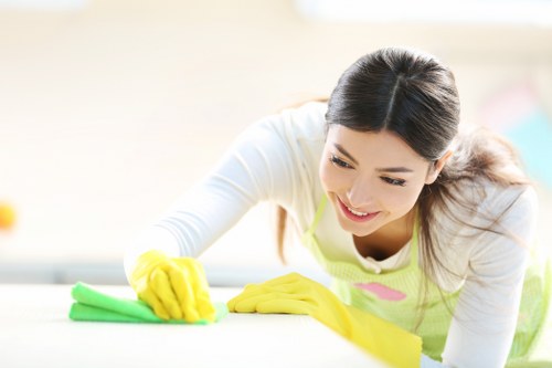 Stain removal cleaning supplies arranged for household use