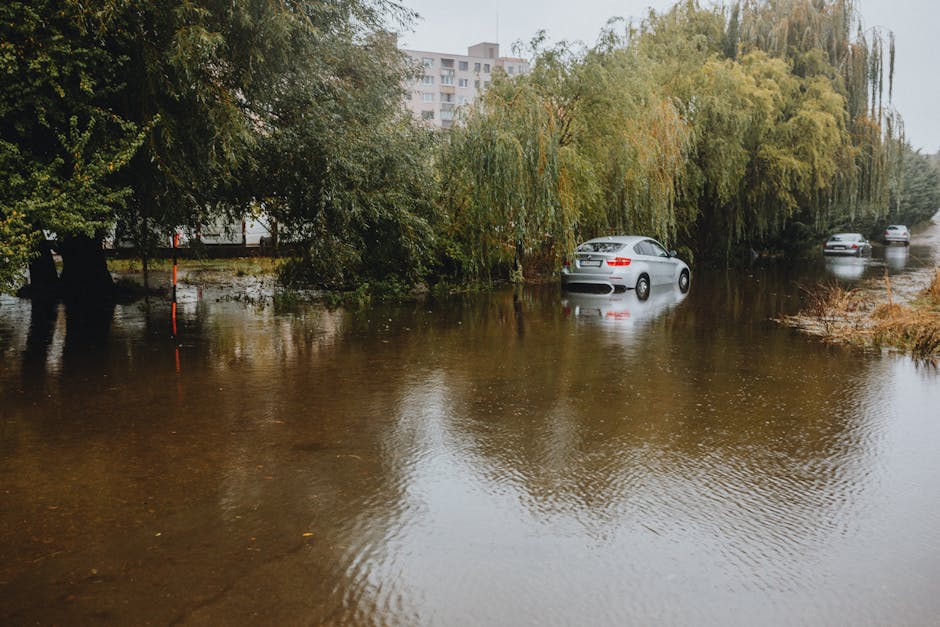 A flooded street in a residential area with water covering the road and surrounding grass, partially submerging parked cars, including a silver vehicle near a large weeping willow tree. Overhanging tr